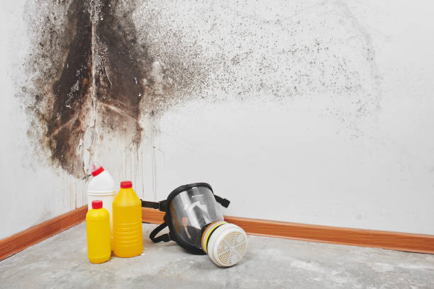 Best Mold Testing  in Dodge City, KS