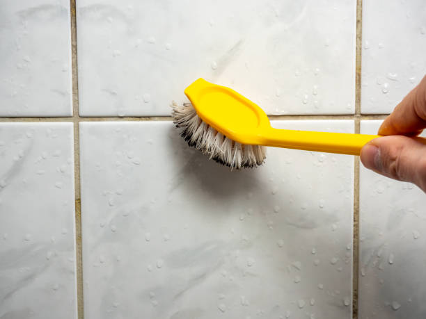 Dodge City, KS Mold Removal Company