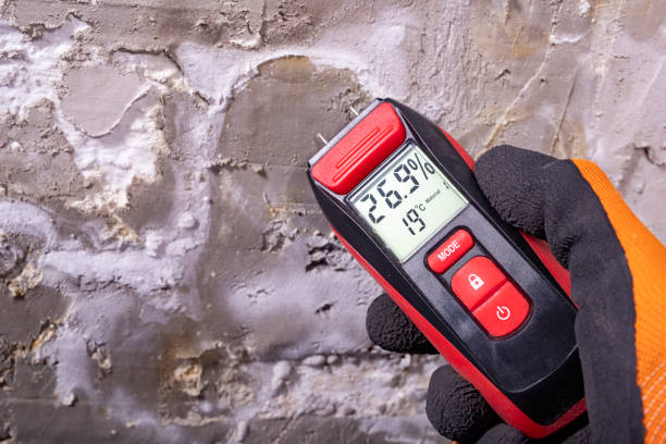 Best Professional Mold Removal  in Dodge City, KS