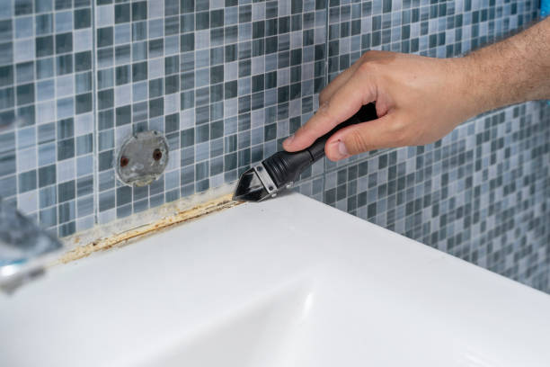 Best Emergency Mold Removal  in Dodge City, KS