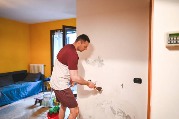 Best Mold Removal and Inspection  in Dodge City, KS