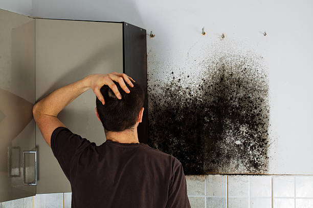 Attic Mold Removal in Dodge City, KS