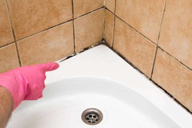 Best Mold Removal Process  in Dodge City, KS